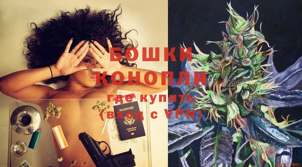 дживик Володарск