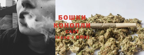дживик Володарск