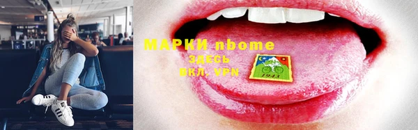 прущие грибы Верея