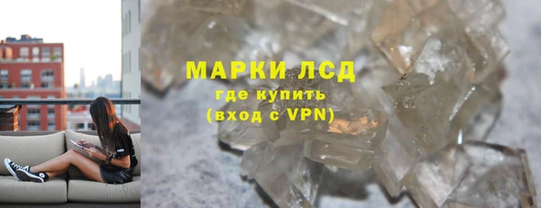прущие грибы Верхний Тагил