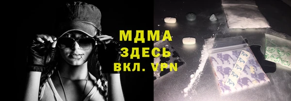 прущие грибы Верея