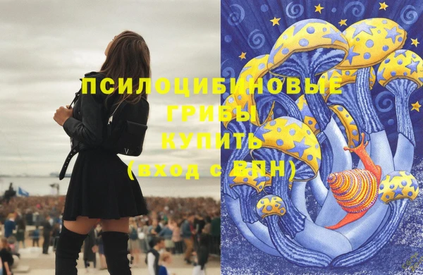 дживик Володарск