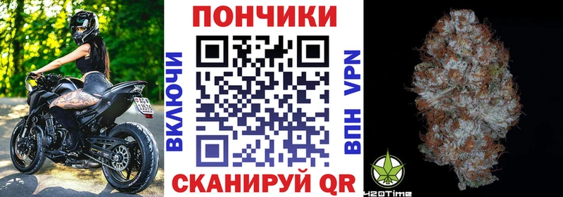 Канабис план  хочу   МЕГА сайт  Карачаевск 